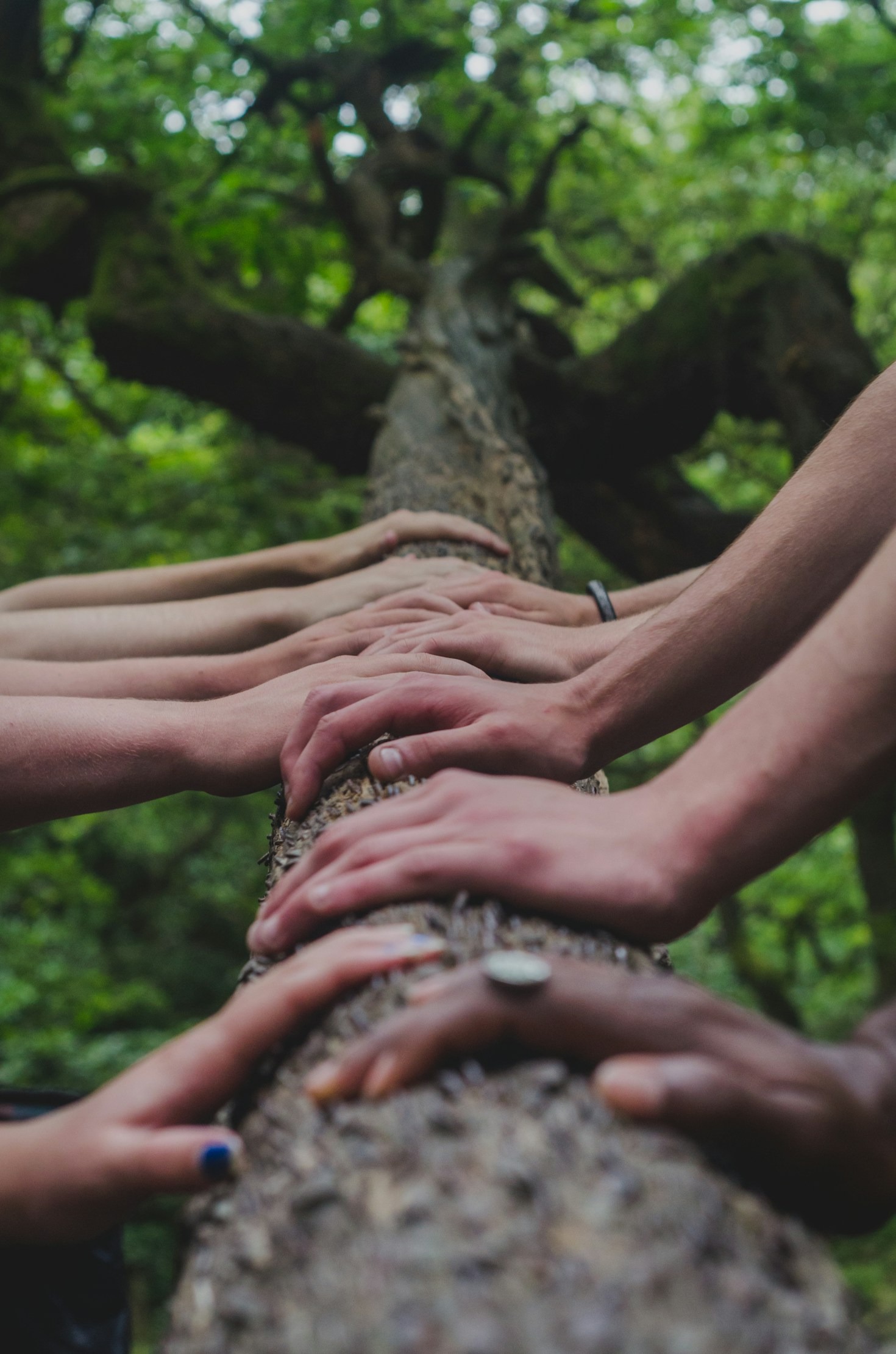 The Role of Group Movement in Feeling Belonging